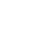 Organisation und Prozesse